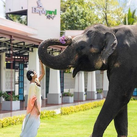 Elephyard Retreat Ξενοδοχείο Mahiyanganaya Εξωτερικό φωτογραφία