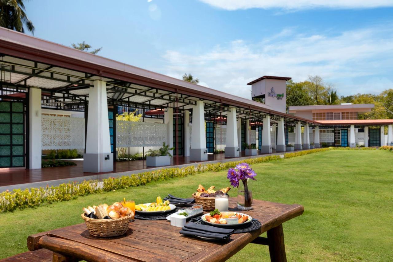 Elephyard Retreat Ξενοδοχείο Mahiyanganaya Εξωτερικό φωτογραφία