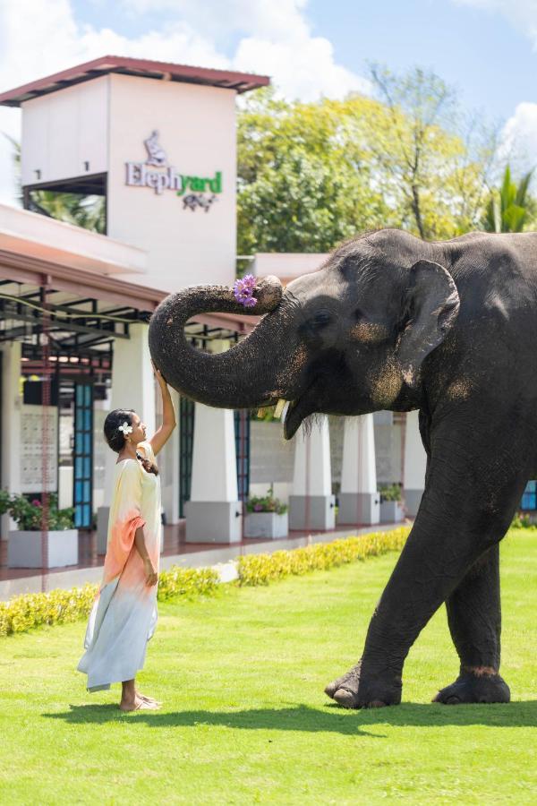 Elephyard Retreat Ξενοδοχείο Mahiyanganaya Εξωτερικό φωτογραφία